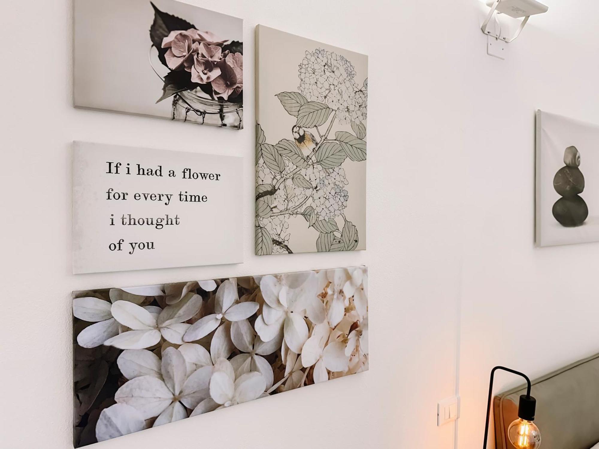 Centro Storico Spina White House Apartment ปิซา ภายนอก รูปภาพ